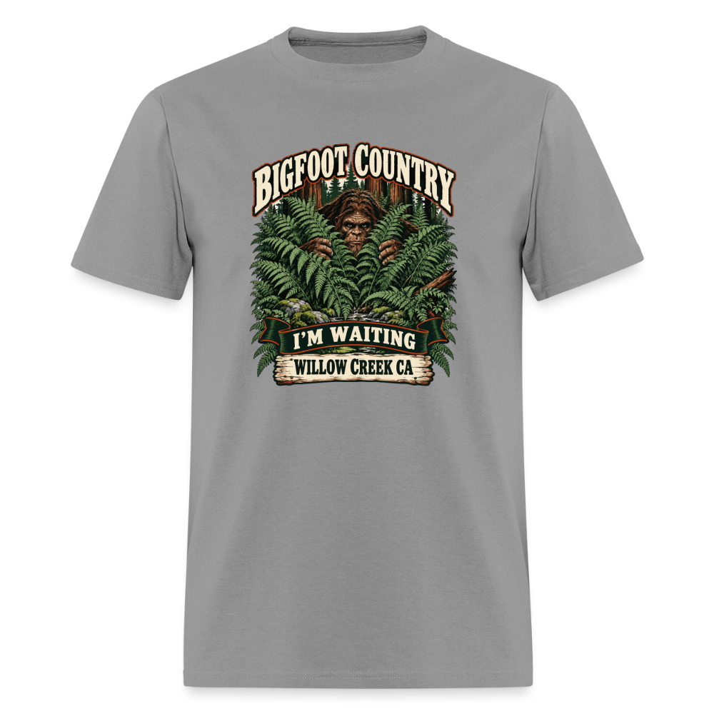 Bigfoot Country Waiting Willow Creek - rock