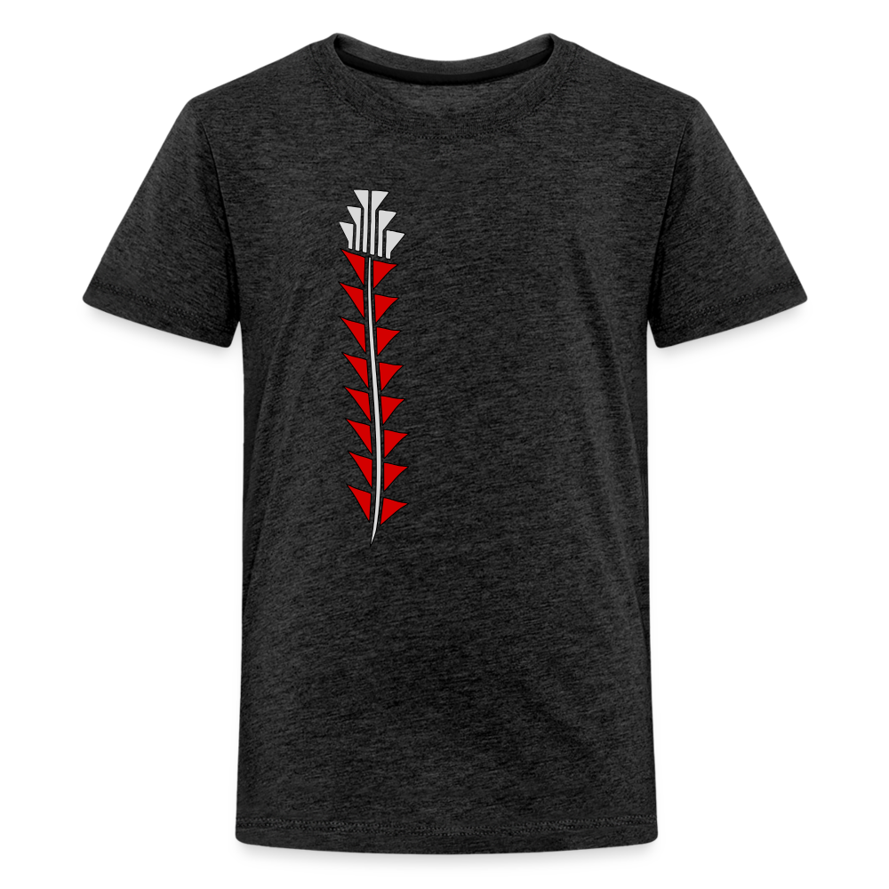 Red Sturgeon Kids' Premium T-Shirt - charcoal grey