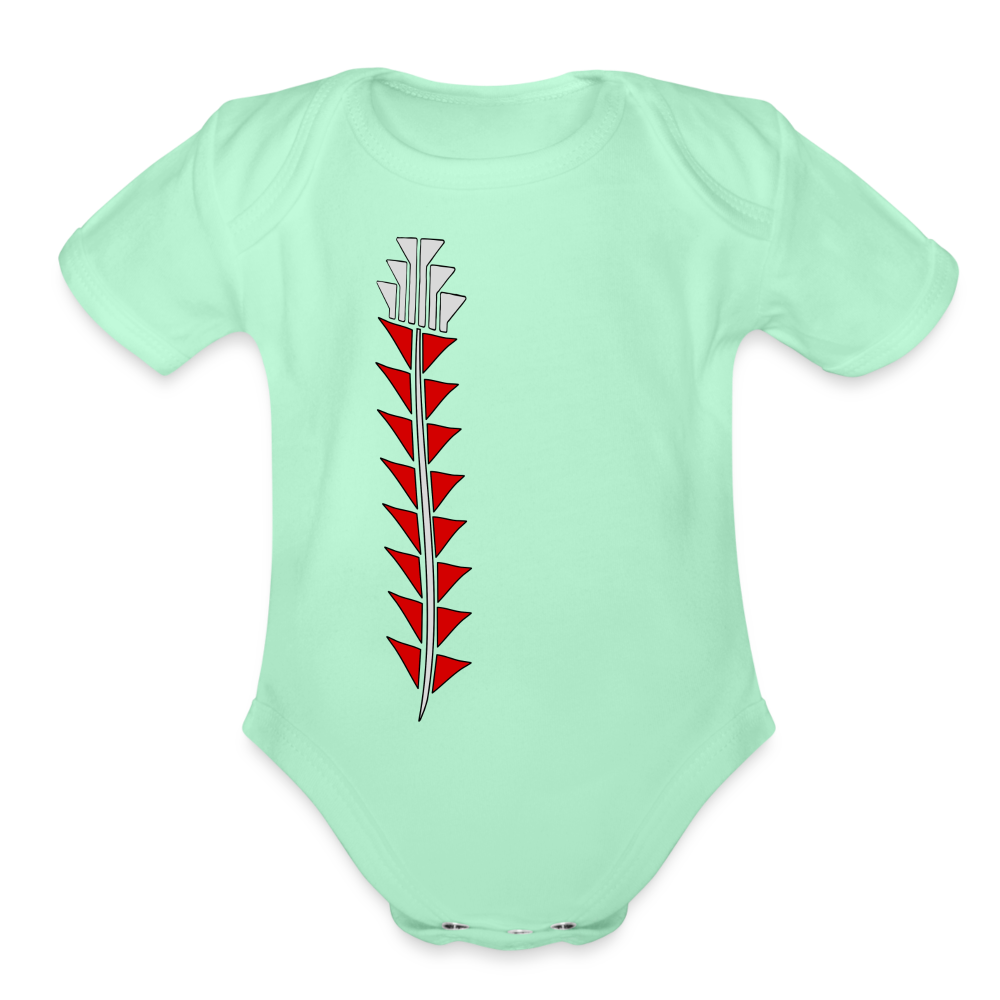 Red Sturgeon Organic Short Sleeve Baby Bodysuit - light mint